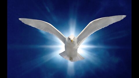 Holy Spirit - Regeneration Must Be Applied To All