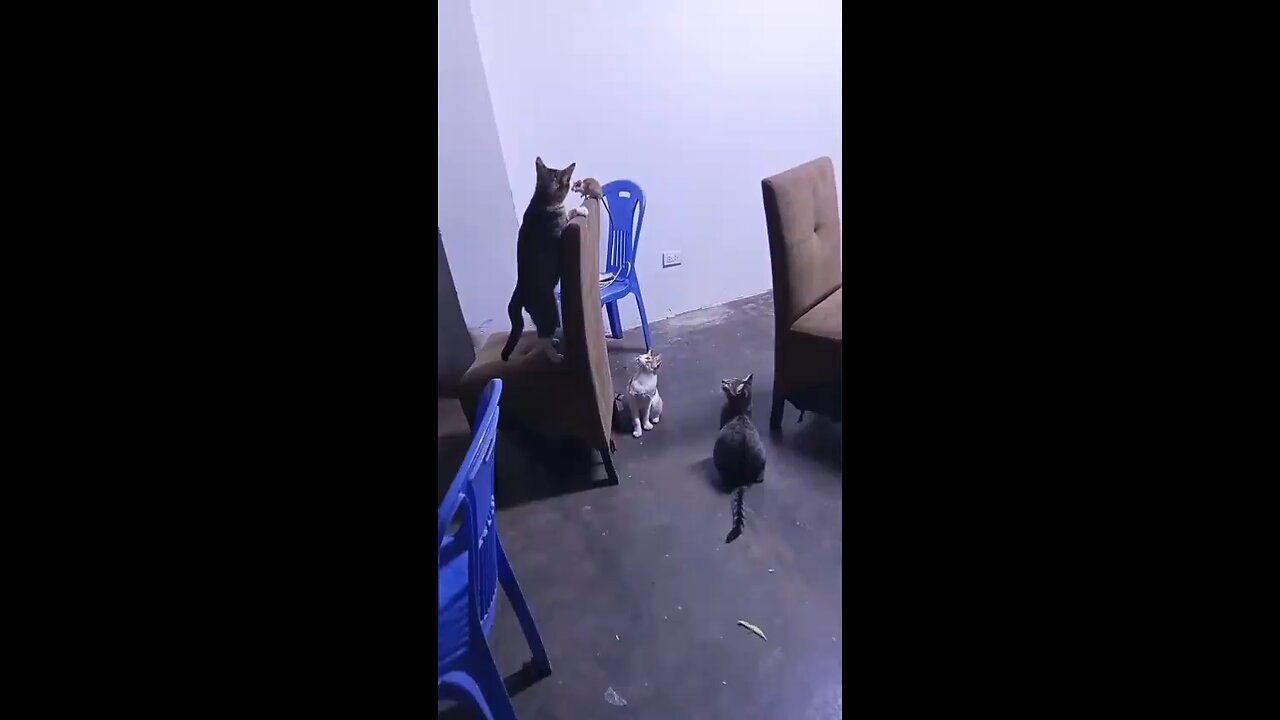 jajaja