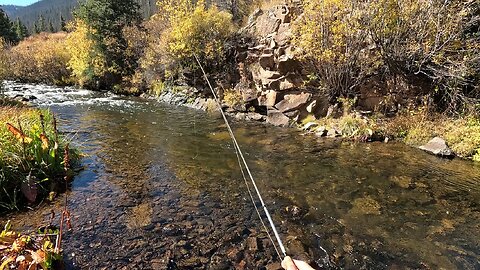 This stream wasn't easy to fish but it was definitely worth the effort!