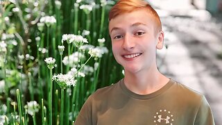 How to Transplant Garlic Chives - Homesteading Journey