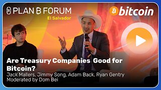Are Treasury Companies Good for Bitcoin? | Plan ₿ Forum El Salvador