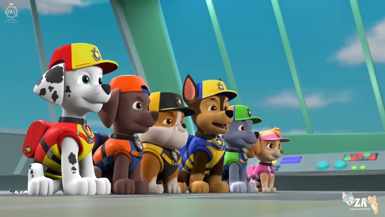 PAW Patrol Cartoons