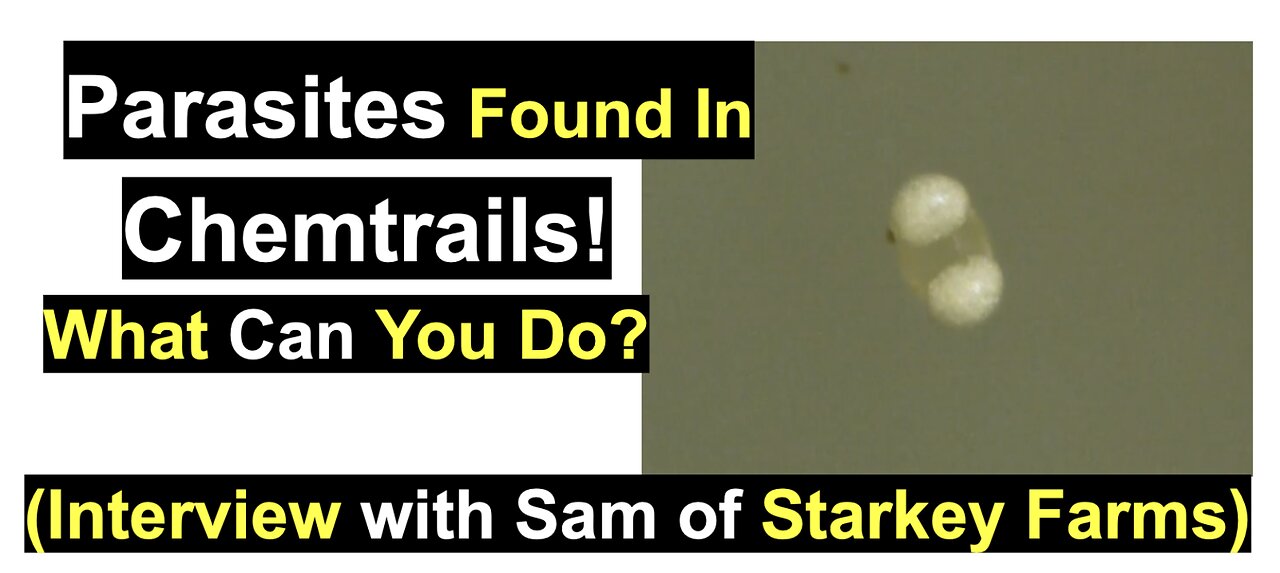 Parasites Found In Chemtrails! What Can You Do?
