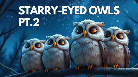 Starry-Eyed Owls Pt.2: A Lullaby Under the Stars