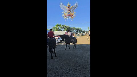El Tejon - Npride Vega