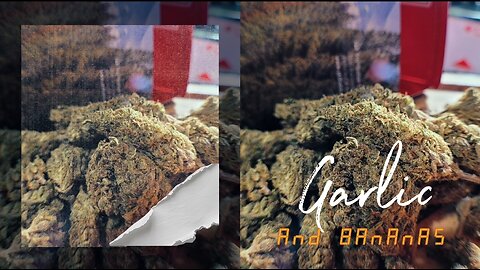 Garlic & Bananas | JK DISTRO