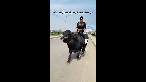 satisfying Video