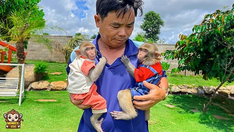 A happy week of YiYi and YinYin when meeting grandpa again