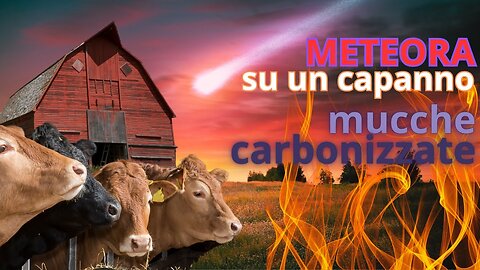Meteorite incendia capanno: Mucche Carbonizzate