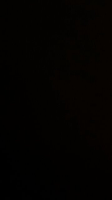 Palladium Commodity Forecast