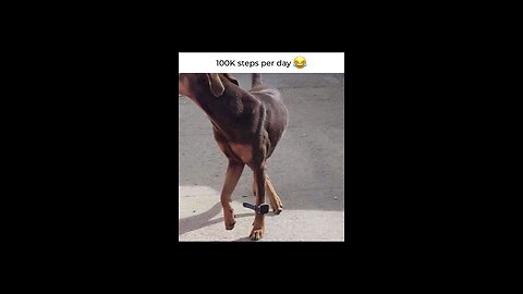 would you give it a try 🤔😂🤣 funny