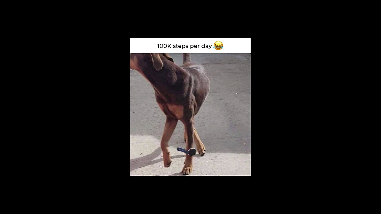 would you give it a try 🤔😂🤣 funny