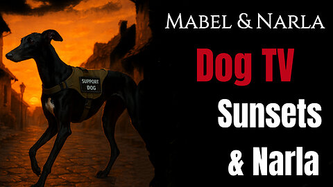 Dog TV: Mabel & Narla Walks | Sunsets & Narla | Greyhound POV 4K Walk & Playtime With Tennis Balls