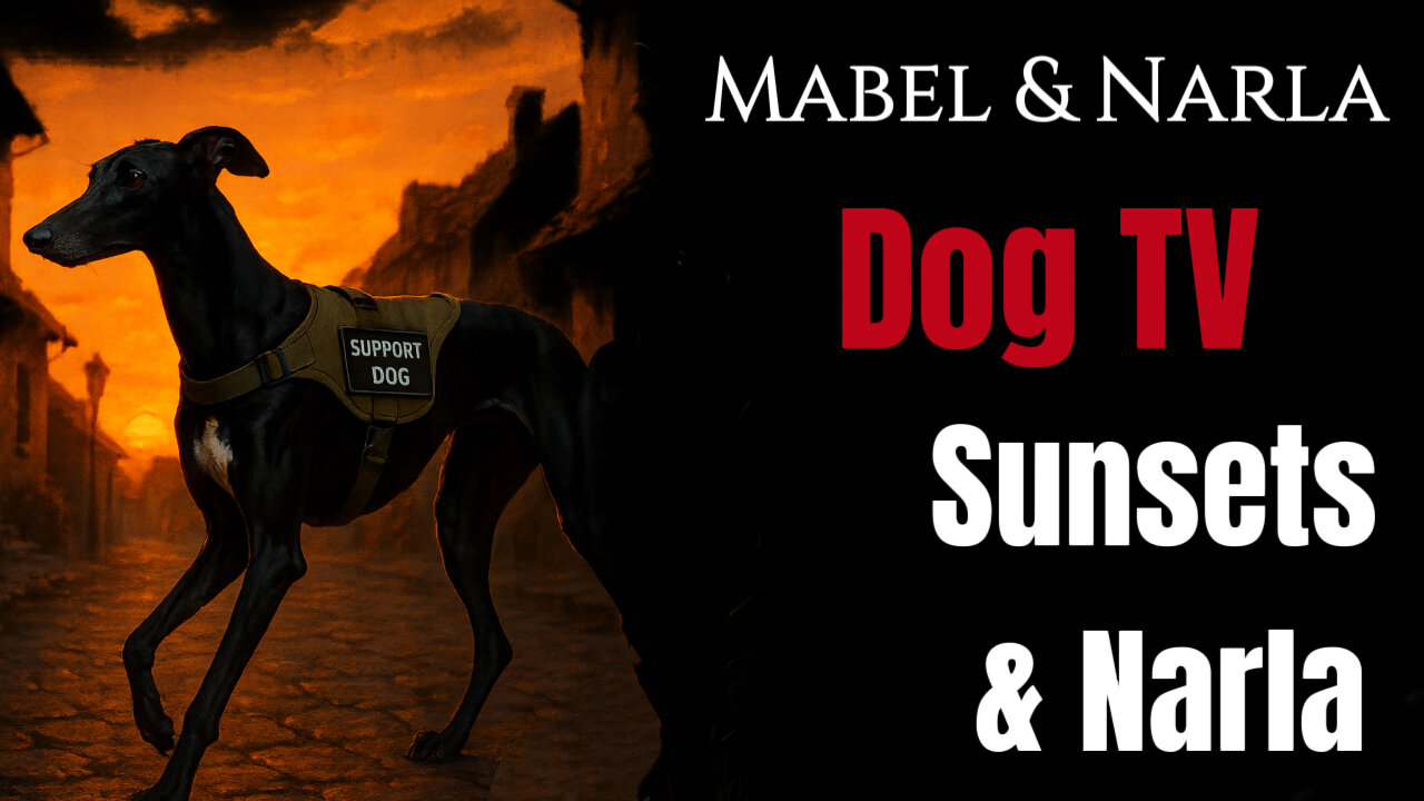 Dog TV: Mabel & Narla Walks | Sunsets & Narla | Greyhound POV 4K Walk & Playtime With Tennis Balls