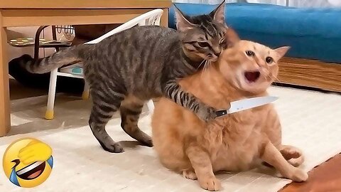 Cute and funny animals 2025 😍 Animals will break your heart 😂