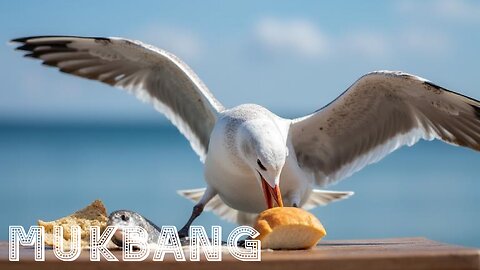 [RU] Russian Mukbang [Seagull with fish and bread / Panasonic HC-X1600]