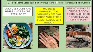Craig Lane Health Alkemy - Hegel and The Health Game Emotional Sales