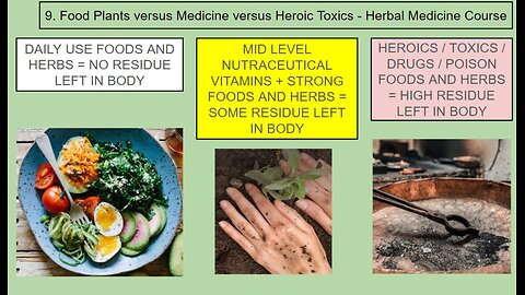 Craig Lane Health Alkemy - Hegel and The Health Game Emotional Sales