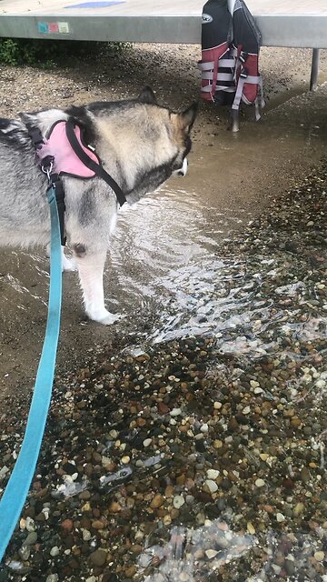 Thursday August 21, I am about to do a brand new thing.