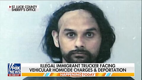 Details revealed about migrant truck driver's extradition flight: 'NO REMORSE'