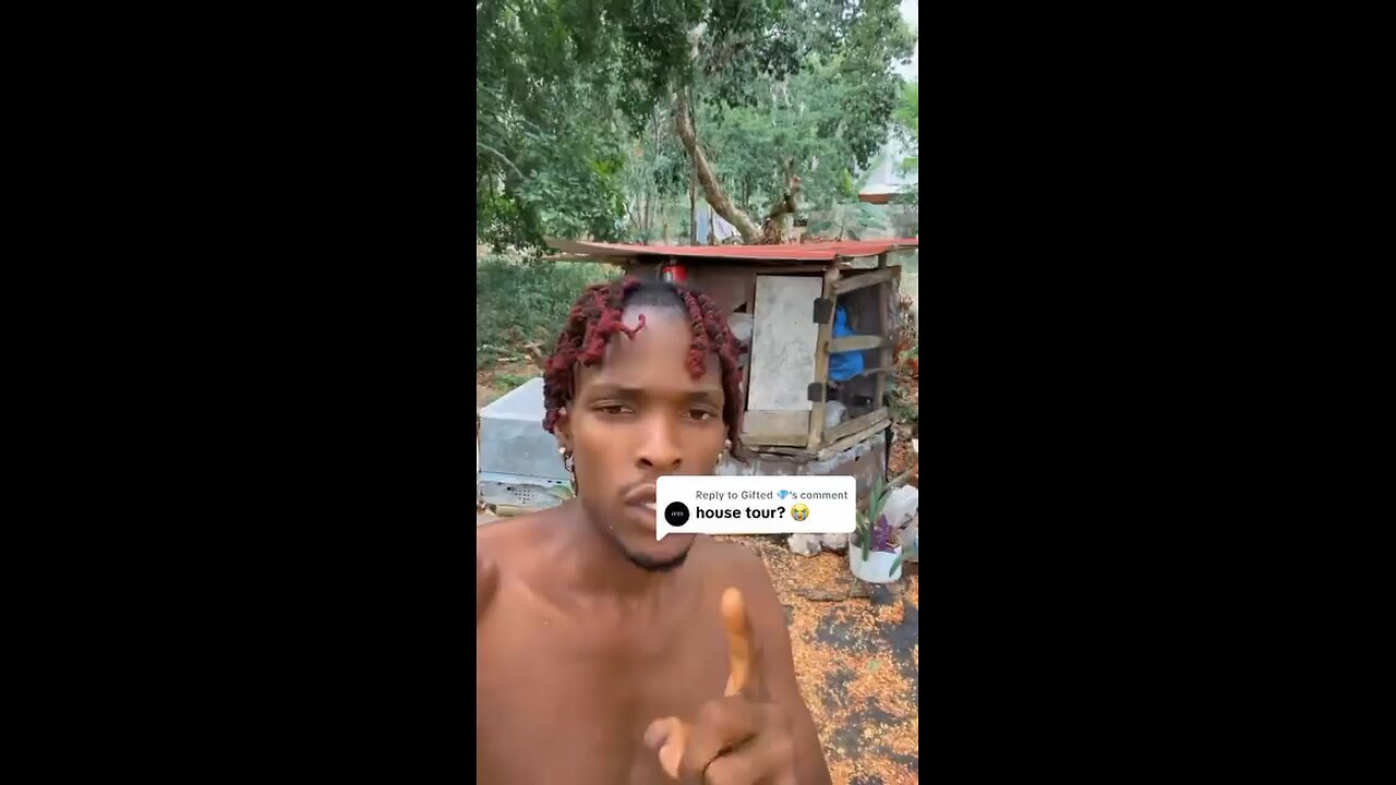 Look inside my house