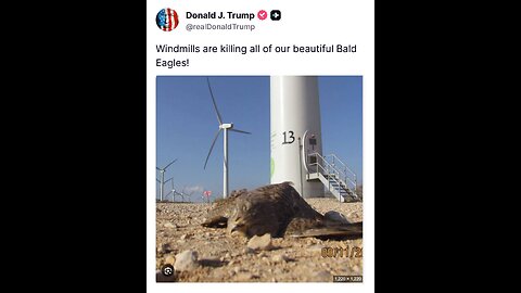 Scott Presler discovers massive Minnesota voter fraud