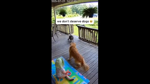 we don't deserve dogs