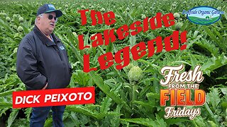 Sowing Change: How Dick Peixoto Grew an Organic Legacy
