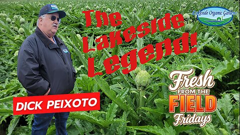 Sowing Change: How Dick Peixoto Grew an Organic Legacy