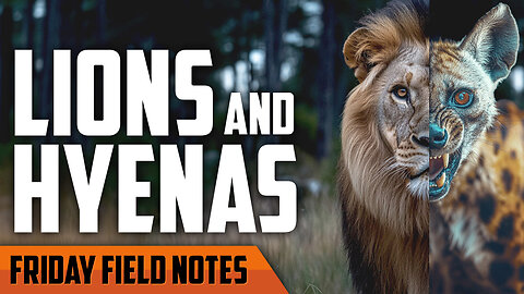 Lions and Hyenas | FRIDAY FIELD NOTES