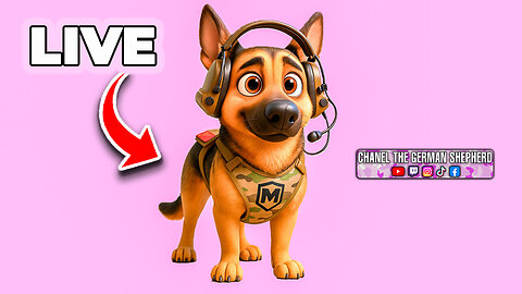 Live Stream!!