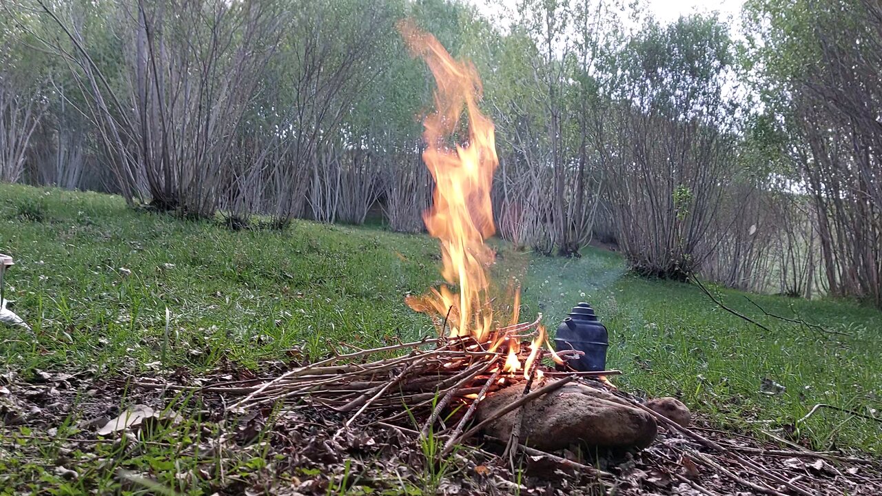 Beautiful fire in the heart of nature