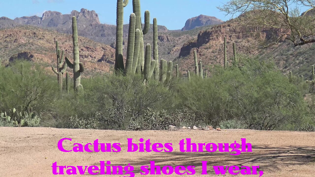 Pebbles’ Desert Road