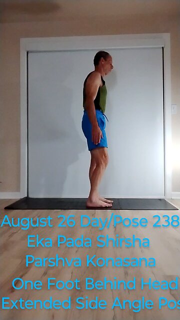 Eka Pada Shirsha Parshva Konasana / One Foot Behind Head Extended Side Angle Pose