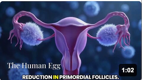 "We're just running humanity's fertility off a cliff."