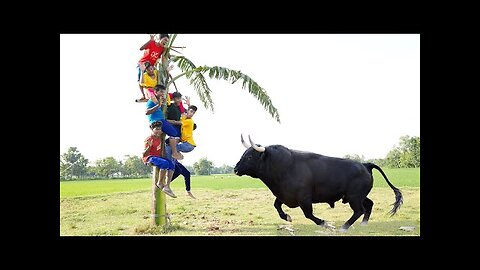 Must Watch New Funny Video 2022 Top New Comedy Video 2022 Try To Not Laugh