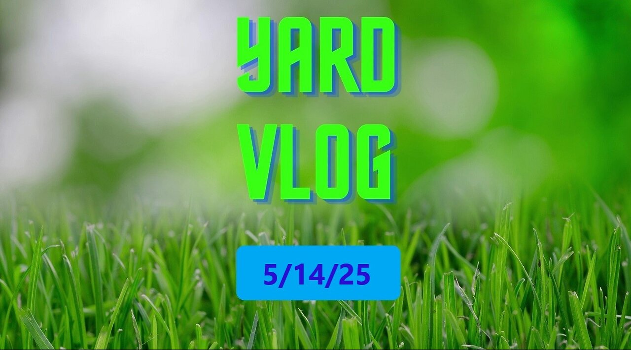 Yard Vlog 5/14/25