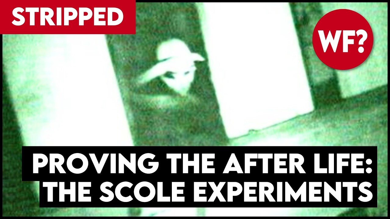 STRIPPED: Proving the Afterlife | The Scole Experiments