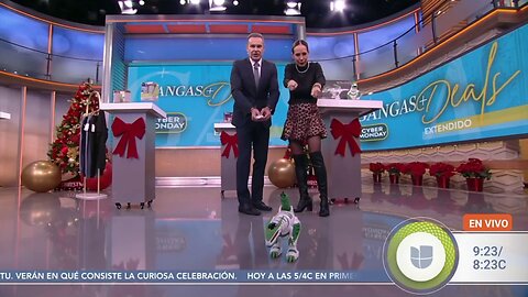 A Bevy Of Beautiful Boots