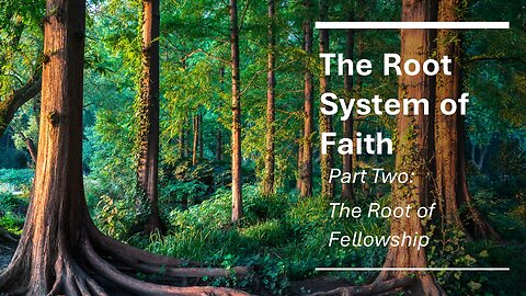 The Root system of Faith: Part 2, The Root of Fellowship