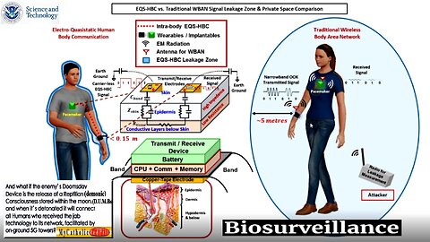 Movie and a Msg - The Message - Bio Digital Convergence
