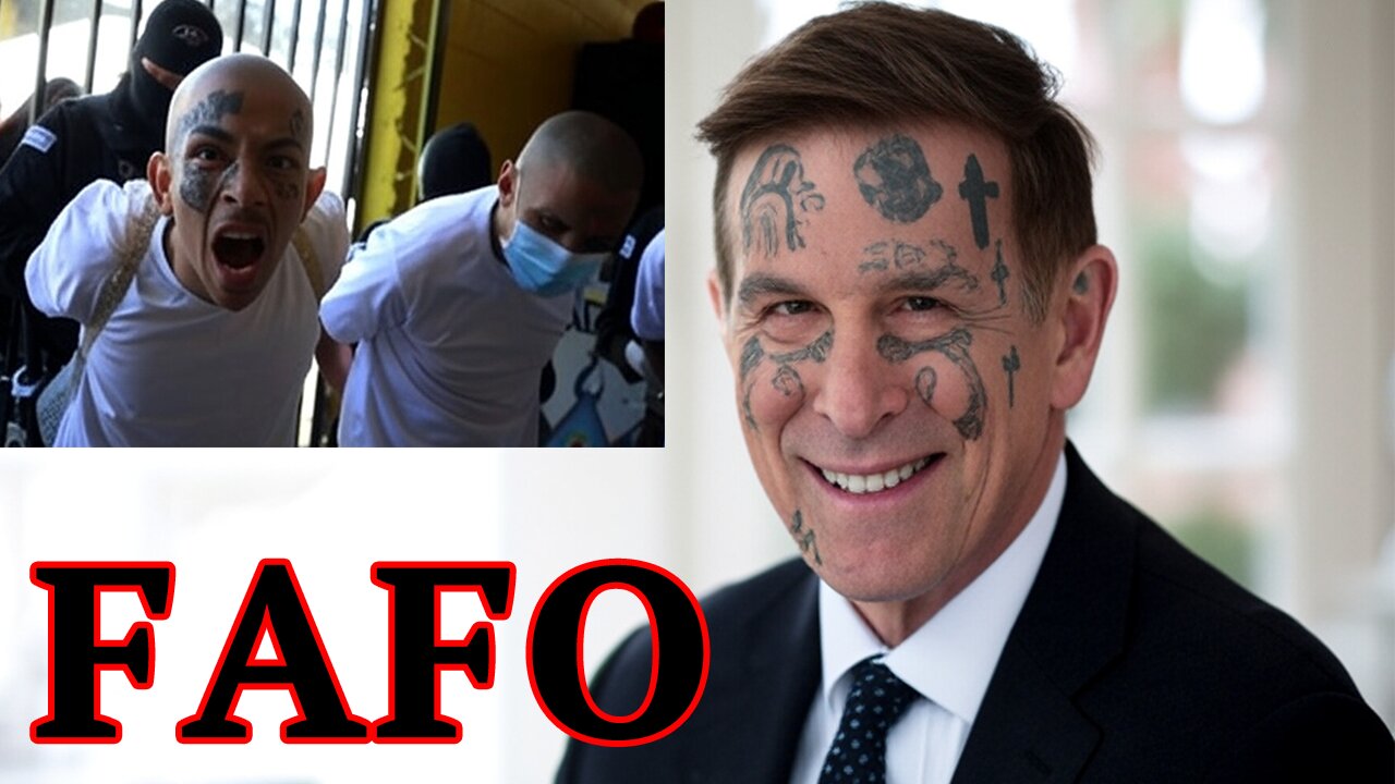 Democrat FINDS OUT after SIMPING for Illegal Alien Gang Members BACKFIRES! FAFO!