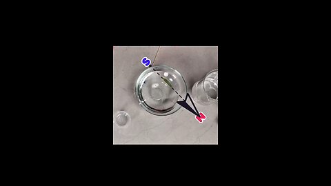 DIY Compass
