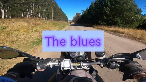 The Blues #jonty #blues #bikerdog #richmond