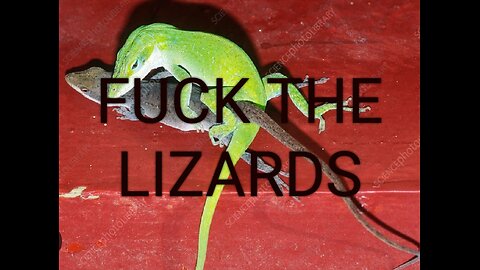 (A)NAL (I)NCANTATION music video FUCK THE LIZARDS