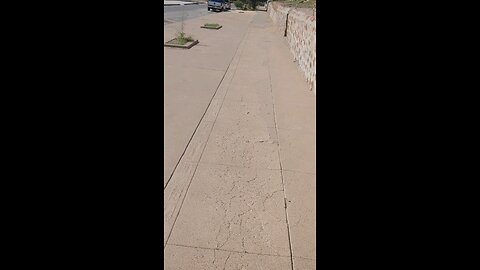 Daily Walk