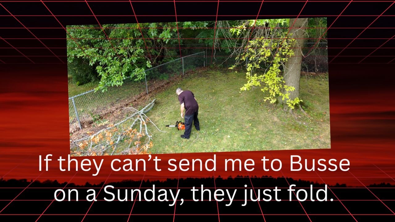 Dickey look at the cars