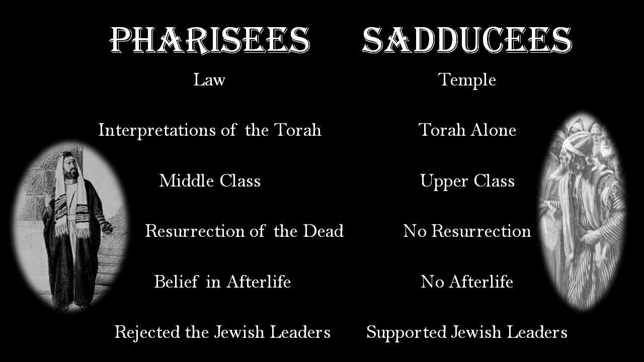 Why Did the Sadducees Rejected Jesus