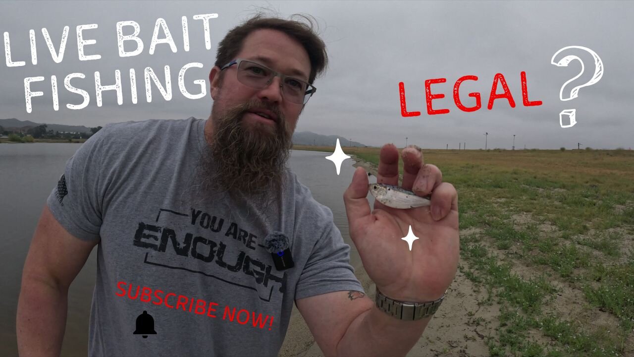 Lake Elsinore Carp Fishing with Threadfin shad