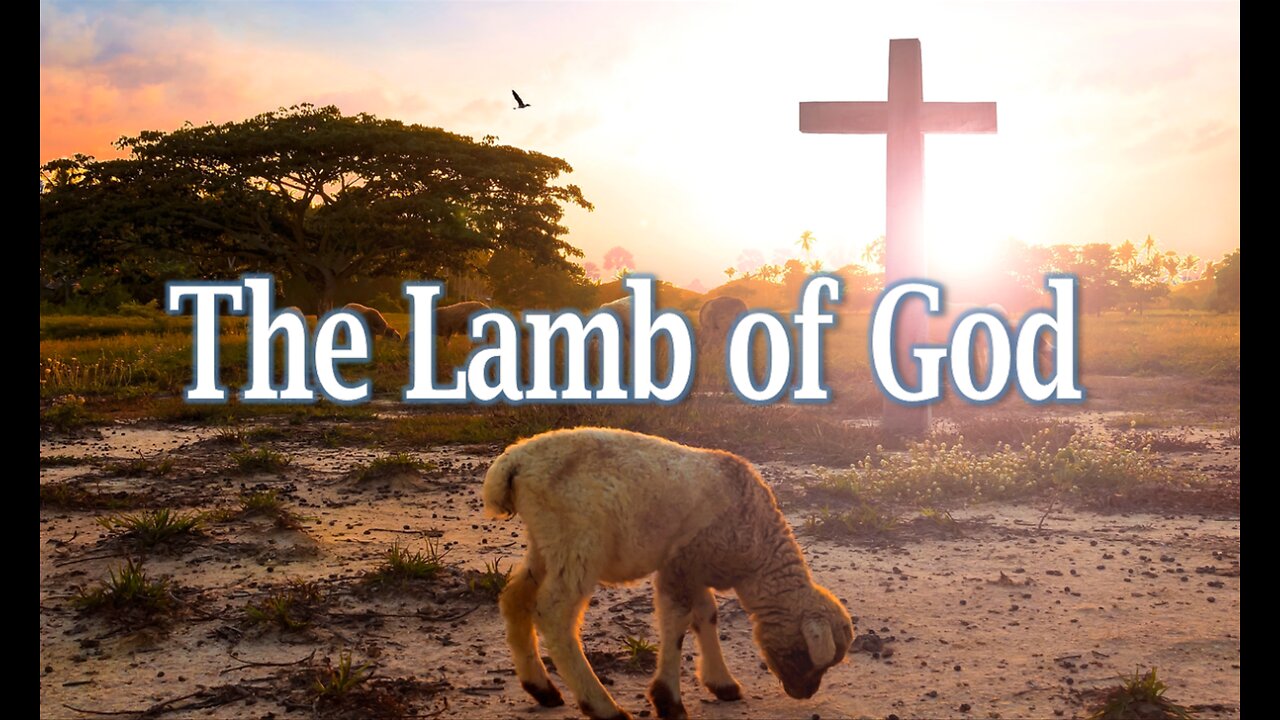 The Lamb Of God - John 3:16 C.M. Thursday Night In The Word Service LIVE Stream 4/17/2025